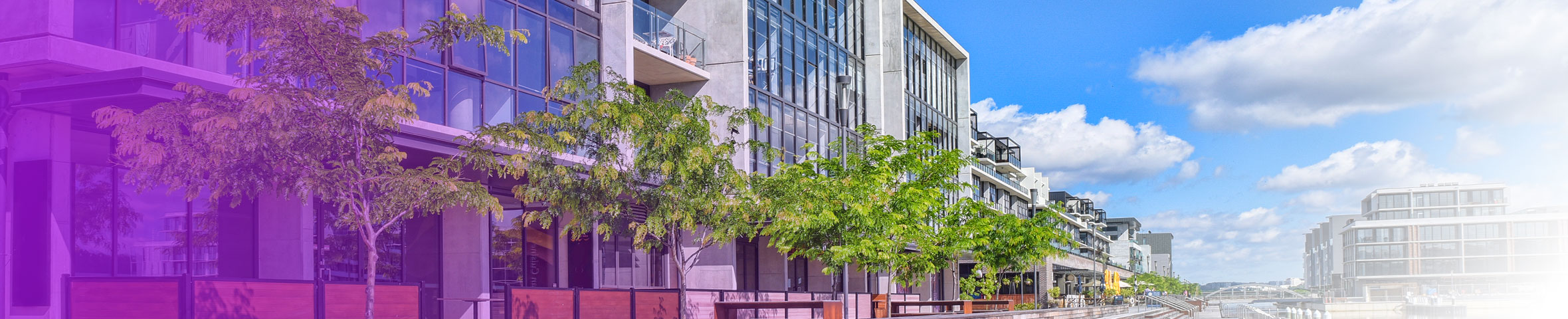 PRO-BMT (Profession Building Management Training)